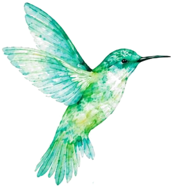 Colibrí en acuarela, símbolo de la firma Krivah